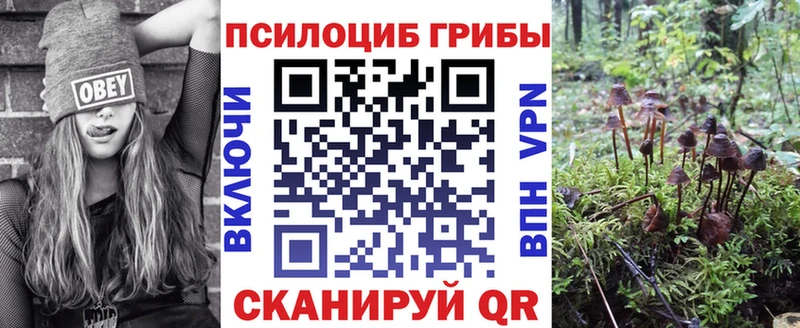 Купить  Черногорск  Галлюциногенные грибы GOLDEN TEACHER 
